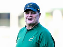 Rassie Erasmus Springbok coach