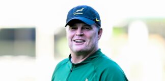 Rassie Erasmus Springbok coach