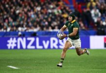 I almost gave up on rugby says Springbok speedster Cheslin Kolbe