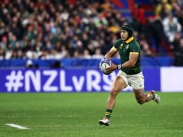 I almost gave up on rugby says Springbok speedster Cheslin Kolbe