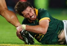 Springboks wary of Scotland threat – FBC News