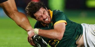 Springboks wary of Scotland threat – FBC News