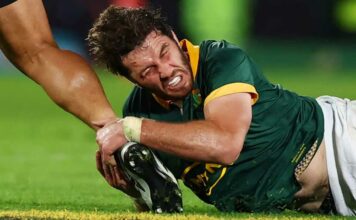 Springboks wary of Scotland threat – FBC News