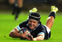 Darcy Graham ruled out of Scotland’s clash with South Africa with head injury