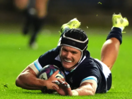 Darcy Graham ruled out of Scotland’s clash with South Africa with head injury