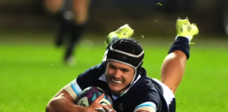 Darcy Graham ruled out of Scotland’s clash with South Africa with head injury