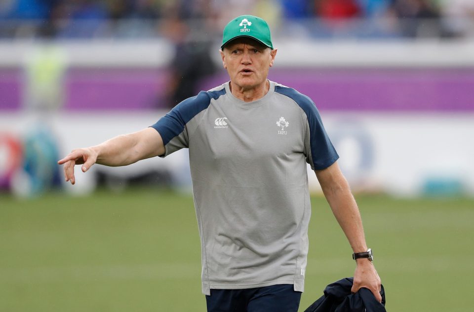 Former Ireland head coach Joe Schmidt took charge of Australia in March