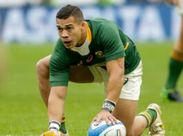 Scotland vs South Africa live stream: How to watch rugby