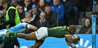 Springboks go top after they down Scotland in scrappy Murrayfield Test