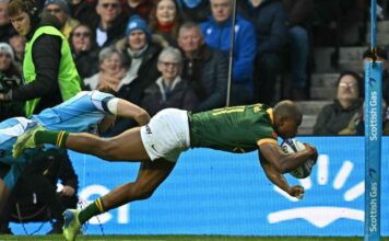 Springboks go top after they down Scotland in scrappy Murrayfield Test