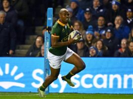 Mapimpi At The Double As South Africa Again Prove Too Strong For Scotland