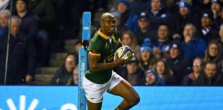 Mapimpi At The Double As South Africa Again Prove Too Strong For Scotland