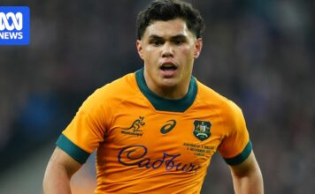 Live updates: Wales vs Wallabies, international rugby union at the Principality Stadium in Cardiff
