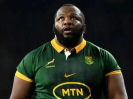 You forgot about Ox Nche!' SA fans disappointed with World Rugby's Player of the Year' nominations