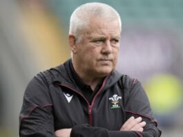 Warren Gatland ‘didn’t think there’d be this much pain’ in Wales rebuild process