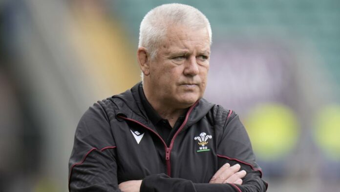 Warren Gatland ‘didn’t think there’d be this much pain’ in Wales rebuild process