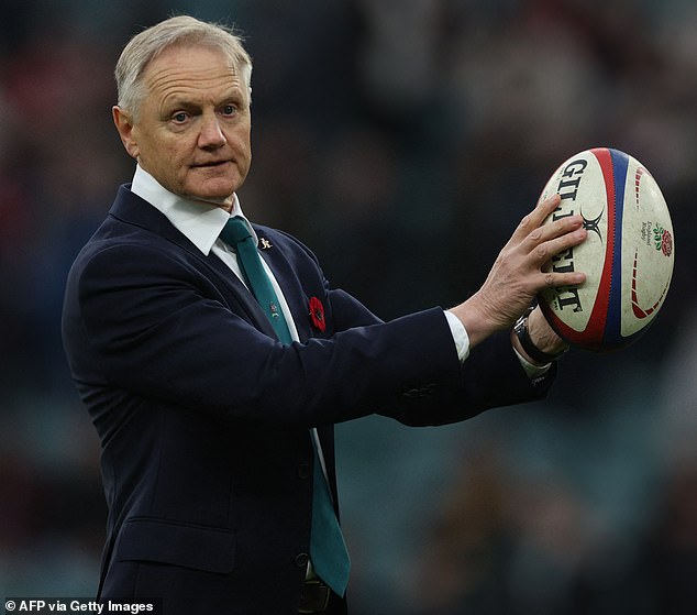 Joe Schmidt has turned out to be a revelation as head coach of the Australians