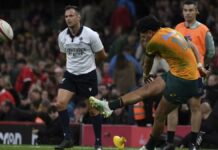 Lolesio thriving as the Wallabies' vital No.10 cog