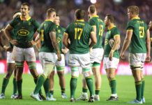 Meet the Boks' three World Rugby Player of the Year nominees