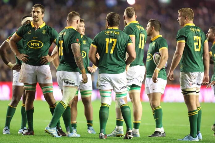 Meet the Boks' three World Rugby Player of the Year nominees