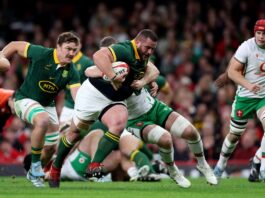 Wales v South Africa LIVE rugby: Latest score and updates as Springboks run rampant in Cardiff