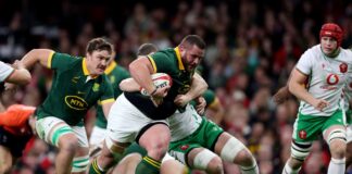 Wales v South Africa LIVE rugby: Latest score and updates as Springboks run rampant in Cardiff