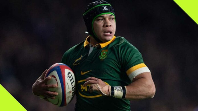 Cheslin Kolbe: Old Video of Rugby World Cup Winner Dreaming to Become a Bok Resurfaces