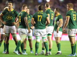 Who will be crowned rugby's top dog — Eben, Pieter-Steph or Cheslin?