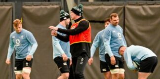 Tadhg Furlong ruled out of Australia clash as Paul O’Connell gives Ireland squad update