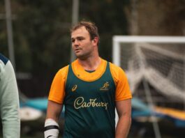 Cricket-mad Wallaby Wilson out to grab 'rugby's Ashes'