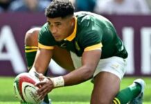 Four Springboks nominated for World Rugby Awards