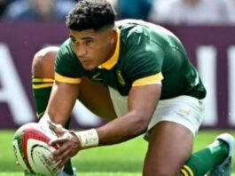Four Springboks nominated for World Rugby Awards