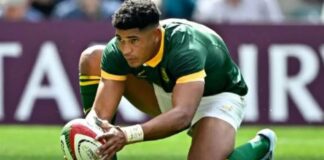 Four Springboks nominated for World Rugby Awards