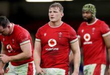 How to watch Wales vs South Africa live stream for FREE online