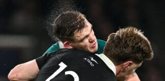 Ireland player ratings vs New Zealand