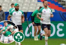 Ireland team v All Blacks: Hansen & Gibson-Park back, Tadhg Furlong out : Planet Rugby