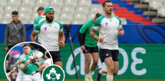 Ireland team v All Blacks: Hansen & Gibson-Park back, Tadhg Furlong out : Planet Rugby