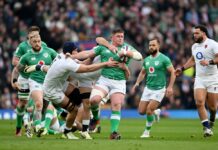 Irish to face Wallabies without injured quartet