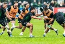 Latest changes in world rugby rankings