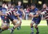 Newark Rugby Club colts remain unbeaten after 31-31 draw with West Bridgford