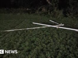 Penzance rugby club has posts vandalised at ground