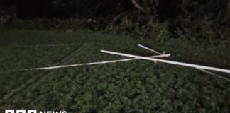 Penzance rugby club has posts vandalised at ground