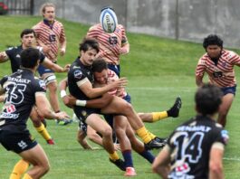Pro rugby coach sues City of Glendale for hiring and then firing him