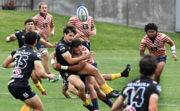 Pro rugby coach sues City of Glendale for hiring and then firing him