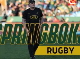 Rassie: Defence smooth but back-up Boks need more gel