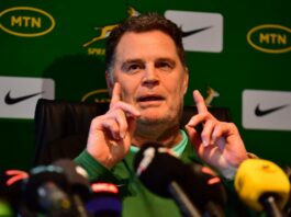 Rassie on track to be rugby's Pep