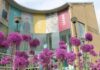 Rugby Art Gallery and Museum unveils 25th anniversary plans