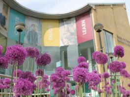 Rugby Art Gallery and Museum unveils 25th anniversary plans