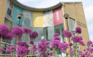 Rugby Art Gallery and Museum unveils 25th anniversary plans