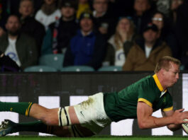 Springbok Du Toit named World Player of the Year for second time